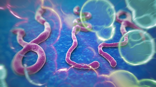 ebola6