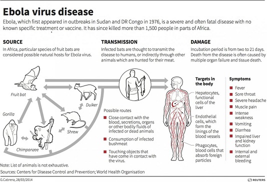 ebola7