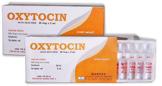 oxytoccin1