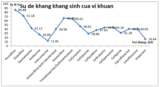 khangkhansi1