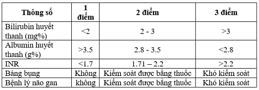 kgann2