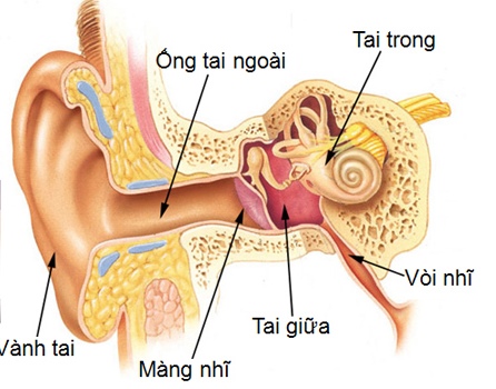 viemtaigiua1