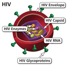 hiv