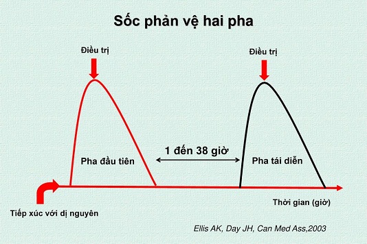 socpv1