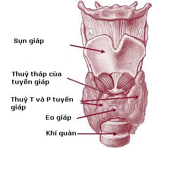 tuyengiap