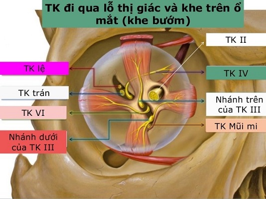 temat1