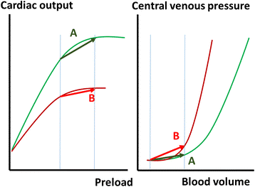 cvp5