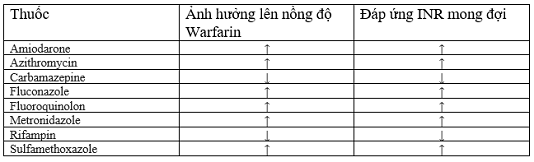 chongdongicu3