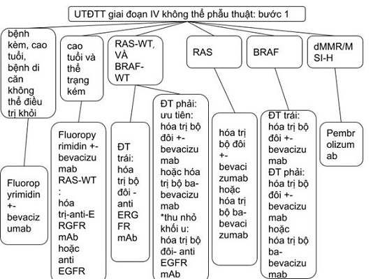 k daitrang1