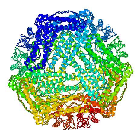 Ferritin