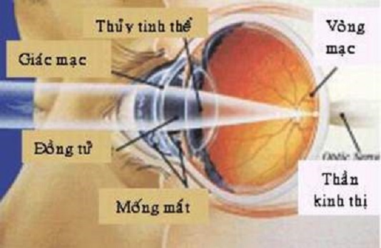 Tatkhucxa1